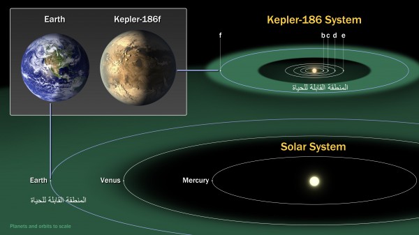 مدار كوكب كبلر 186 والضي يوجد في المنطقة القابلة للحياة