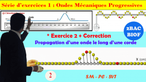 ♣2BAC BIOF - Exercice 2 + Correction : Série d'exercices 1: Ondes mécaniques progressives (OMP) - Pr JENKAL RACHID