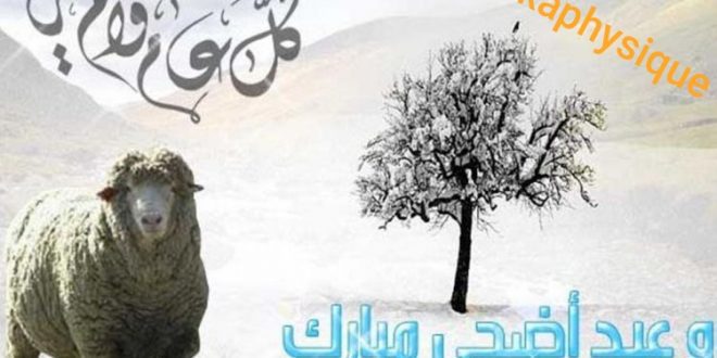 خبر الساعة : هكذا يبارك الفيزيائيون العيد الاضحى لزملائهم واصدقائهم