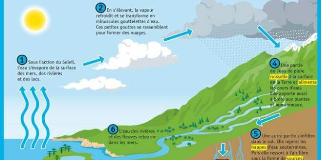 Chapitre 1 , l'eau dans dans la nature , Cours ( Word ), 1ère année collège ,