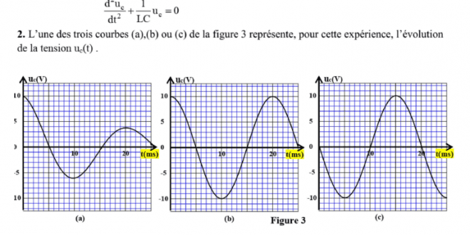examen blanc 2BAC SVT , 2020