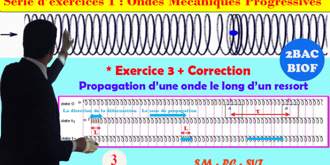 ♣2BAC BIOF - Exercice 3 ( Ressort) + Correction : Série d'exercices 1: Ondes mécaniques progressives (OMP) - Pr JENKAL RACHID