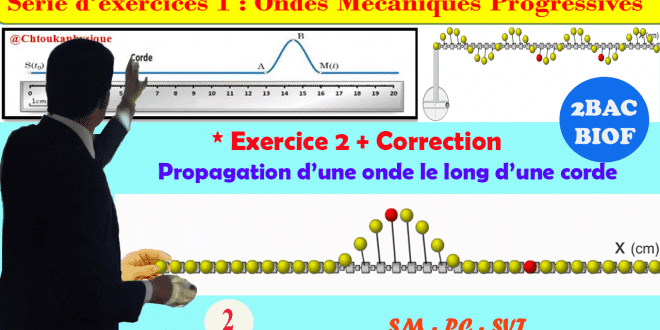 ♣2BAC BIOF - Exercice 2 + Correction : Série d'exercices 1: Ondes mécaniques progressives (OMP) - Pr JENKAL RACHID